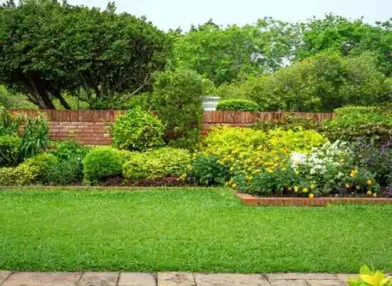 landscaping services Mount Sterling